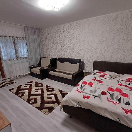 Garsoniera George Apartment ตือร์กูออกนา ภายนอก รูปภาพ