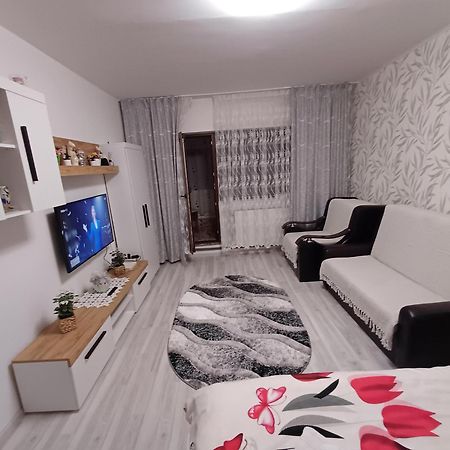 Garsoniera George Apartment ตือร์กูออกนา ภายนอก รูปภาพ